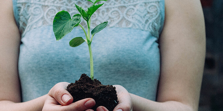 A woman in a blue top holding a plant in some soil in the palms of her hands 