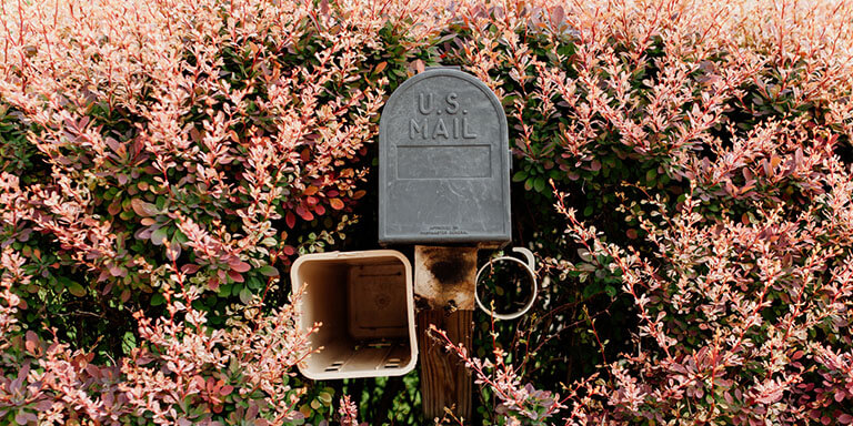 A United States Postal Service Mailbox surrounded by blooming pink flowers
